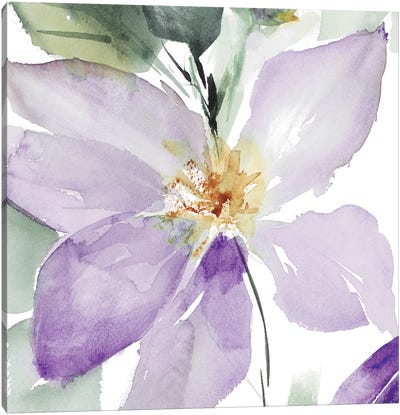 Clematis in Purple Shades I Canvas Art Print - Lanie Loreth