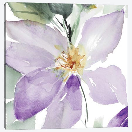 Clematis in Purple Shades I Canvas Print #LNL39} by Lanie Loreth Canvas Art