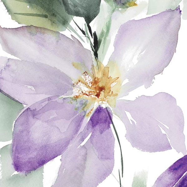 Lanie Loreth: Clematis in Purple Shades I by Lanie Loreth