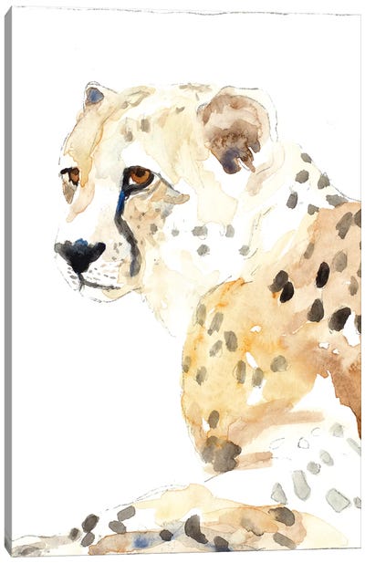 Seated Cheetah Canvas Art Print - Lanie Loreth