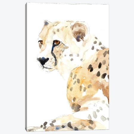 Seated Cheetah Canvas Print #LNL400} by Lanie Loreth Art Print