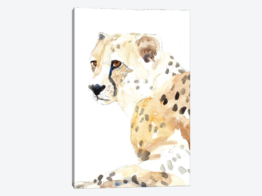 Seated Cheetah by Lanie Loreth 1-piece Canvas Print