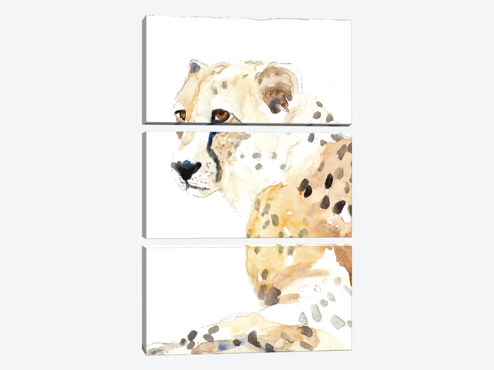 Seated Cheetah by Lanie Loreth 3-piece Canvas Print