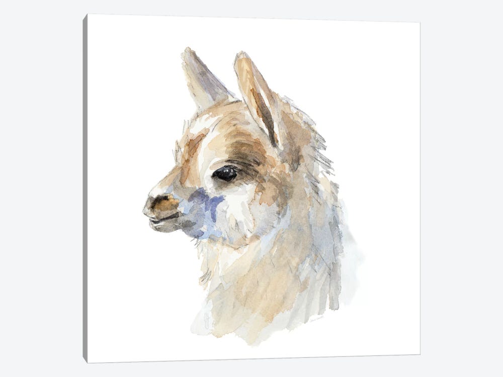 Side Portrait Llama by Lanie Loreth 1-piece Canvas Artwork