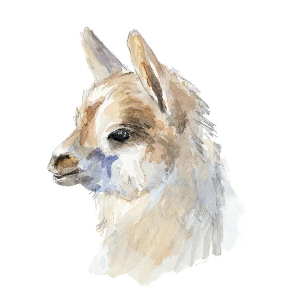 Llamas: Side Portrait Llama by Lanie Loreth