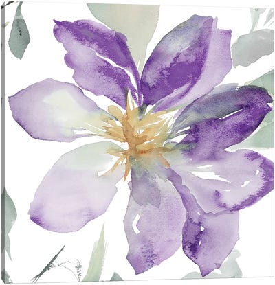 Clematis in Purple Shades II Canvas Art Print - Lanie Loreth