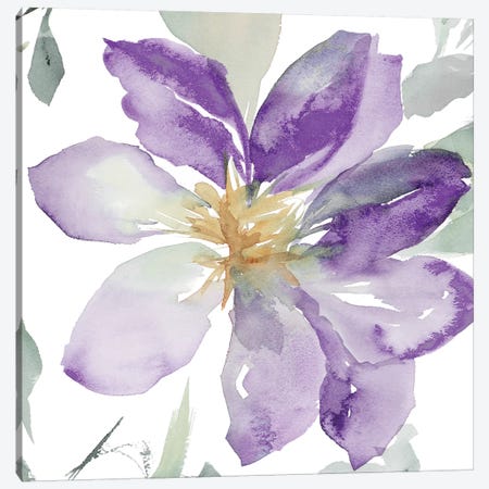 Clematis in Purple Shades II Canvas Print #LNL40} by Lanie Loreth Canvas Art Print