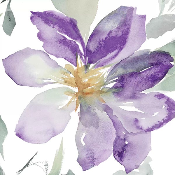 Lanie Loreth: Clematis in Purple Shades II by Lanie Loreth