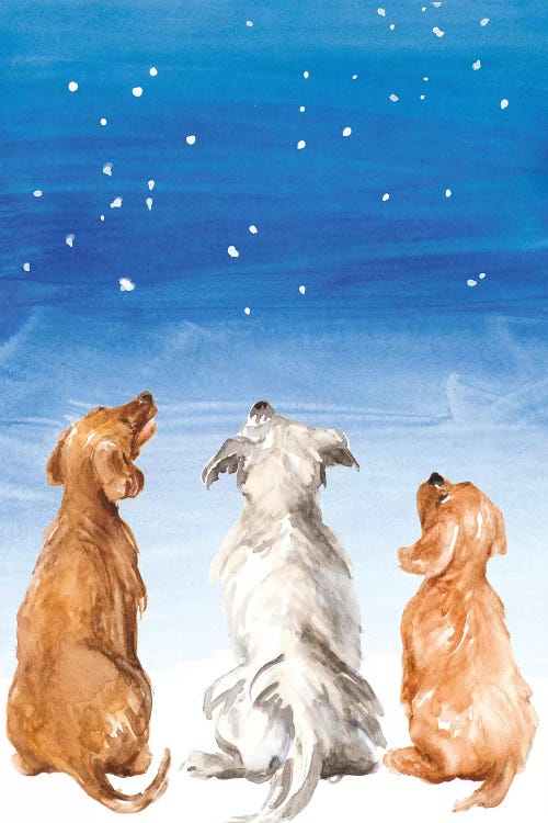 Three Dogs Star Gazing