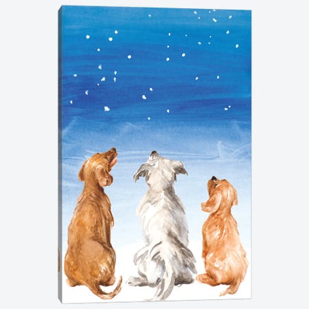 Three Dogs Star Gazing Canvas Print #LNL420} by Lanie Loreth Canvas Print