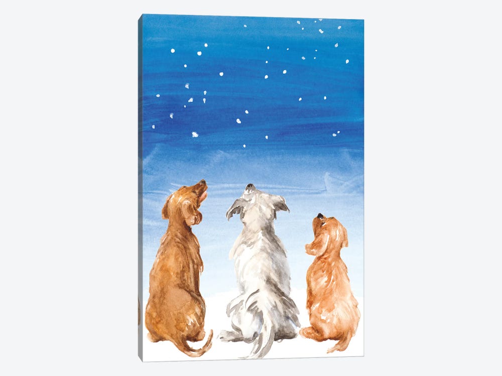 Three Dogs Star Gazing by Lanie Loreth 1-piece Canvas Print