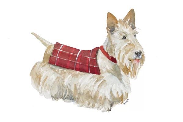 Soft-Coated Wheaten Terriers: Wheaten Scotty by Lanie Loreth