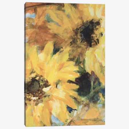 Breezy Vintage Sunflowers Canvas Print #LNL436} by Lanie Loreth Canvas Art Print