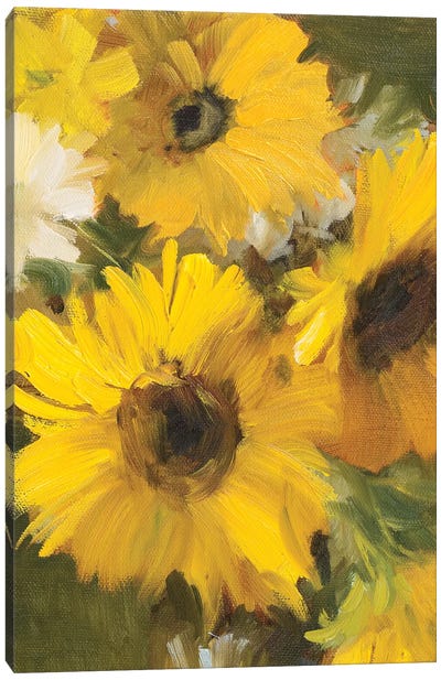 Bright Yellow Sunflowers Canvas Art Print - Lanie Loreth
