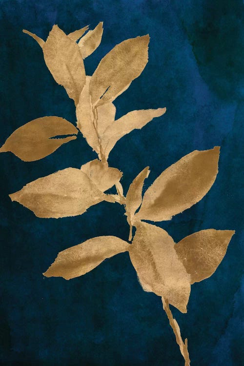 Gold Leaves on Navy IV