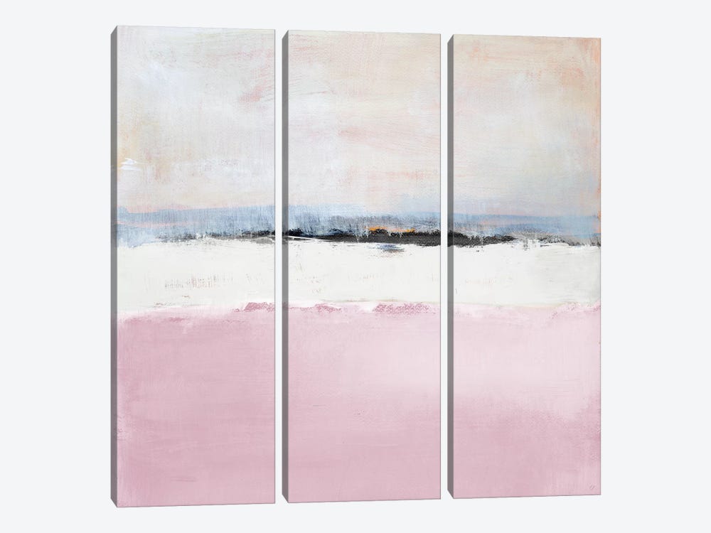 Pink Sea by Lanie Loreth 3-piece Canvas Art