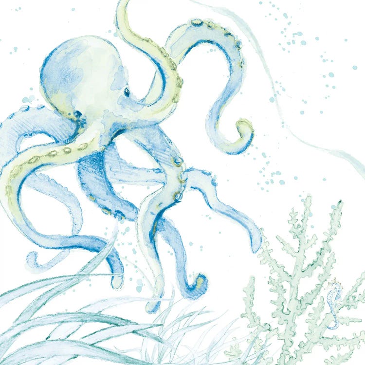 Blue Octopus