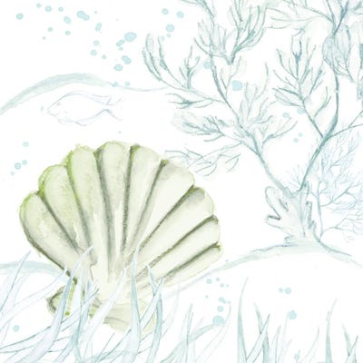 Green Shell by Lanie Loreth framed canvas print