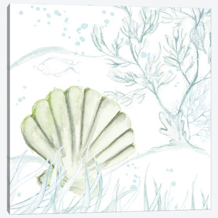 Green Shell Canvas Print #LNL502} by Lanie Loreth Canvas Art