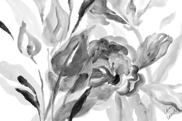 Black & White Abstract Art: Dark Florals by Lanie Loreth