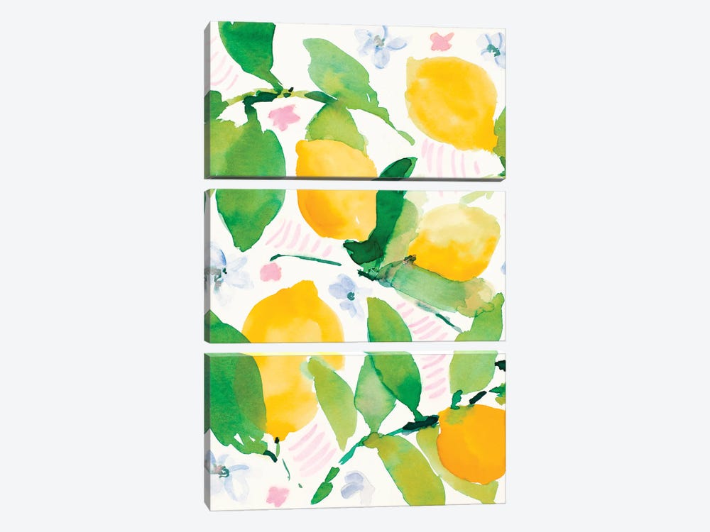 Garden Lemons by Lanie Loreth 3-piece Canvas Print