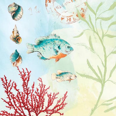 Deep Sea Coral II by Lanie Loreth framed canvas print