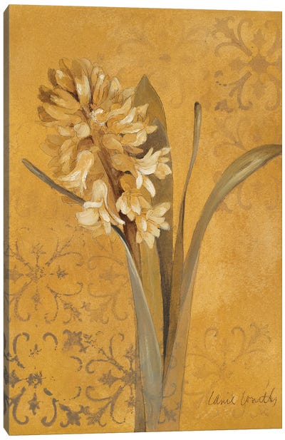 Hyacinth I Canvas Art Print