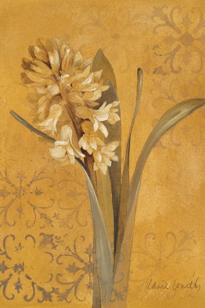 Hyacinths: Hyacinth I by Lanie Loreth