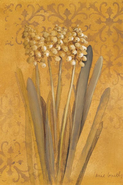 Hyacinths: Hyacinth II by Lanie Loreth