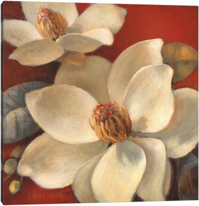 Magnolia Passion I Canvas Art Print - Lanie Loreth