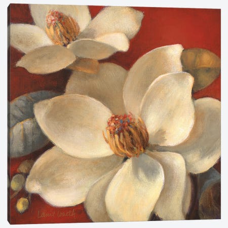 Magnolia Passion I Canvas Print #LNL555} by Lanie Loreth Canvas Wall Art