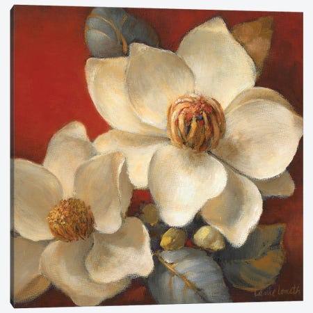 Magnolia Passion II Canvas Print #LNL556} by Lanie Loreth Canvas Wall Art