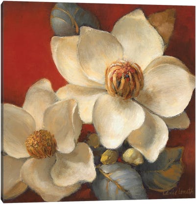 Magnolia Passion II Canvas Art Print - Magnolia Art