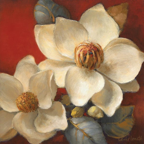SunDance Group: Magnolia Passion II by Lanie Loreth