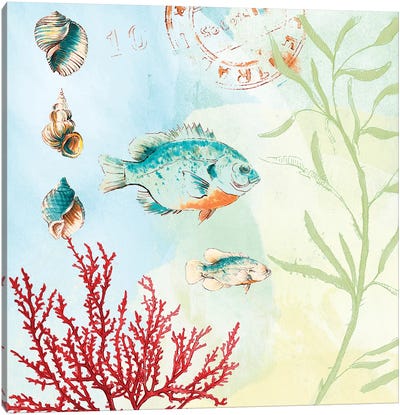 Deep Sea Coral II Canvas Art Print - Lanie Loreth