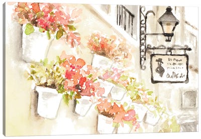 Paris Flowerpots Canvas Art Print - Lanie Loreth