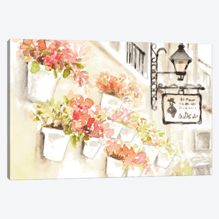 Paris Flowerpots Canvas Print #LNL565} by Lanie Loreth Canvas Art Print