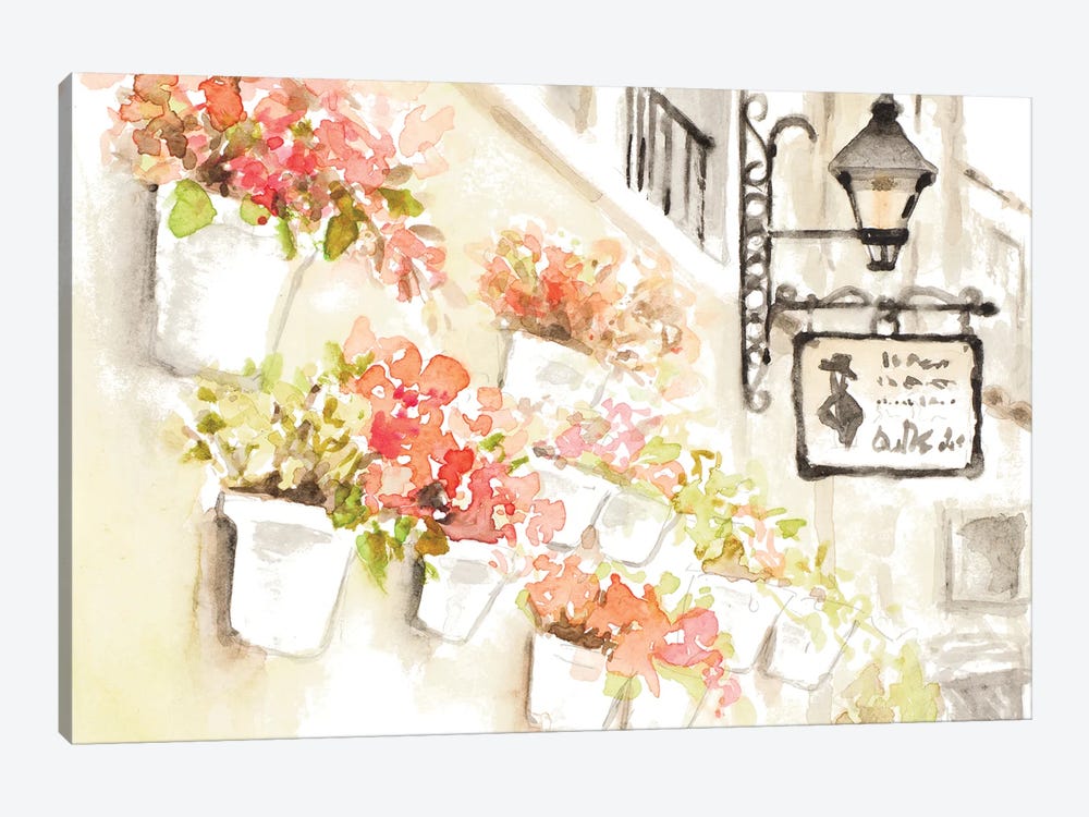 Paris Flowerpots by Lanie Loreth 1-piece Canvas Art Print