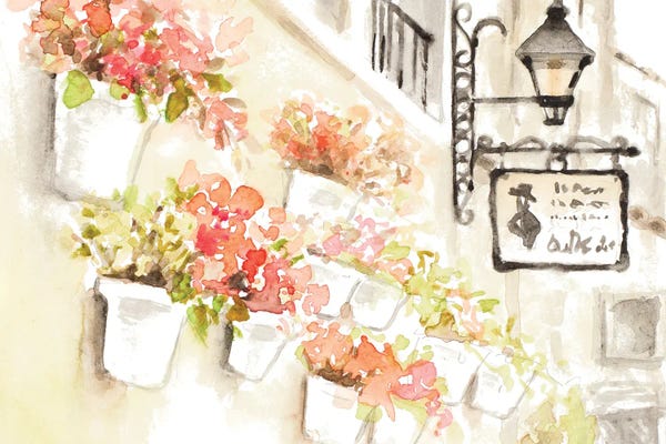 Lanie Loreth: Paris Flowerpots by Lanie Loreth
