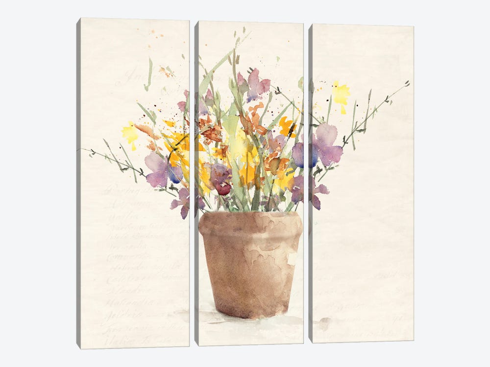 Potted Wildflowers I by Lanie Loreth 3-piece Canvas Art Print