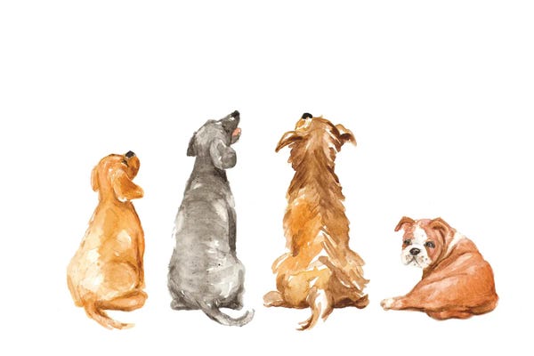 Bulldogs: What's That by Lanie Loreth