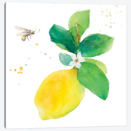 Bee-Friend The Lemon I Canvas Print #LNL594} by Lanie Loreth Canvas Artwork