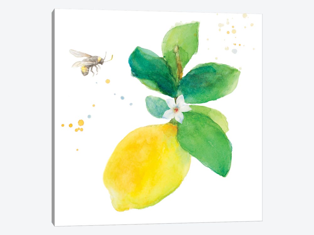 Bee-Friend The Lemon I by Lanie Loreth 1-piece Art Print
