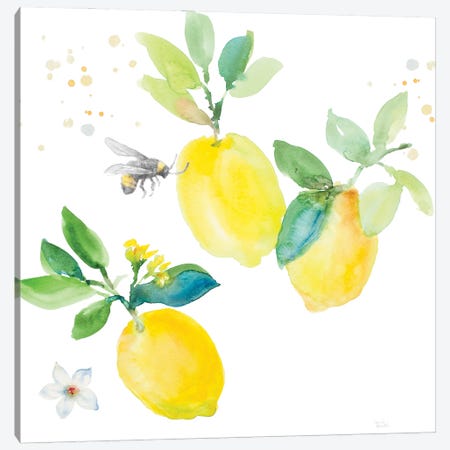 Bee-Friend The Lemon II Canvas Print #LNL595} by Lanie Loreth Canvas Wall Art
