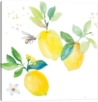 Bee-Friend The Lemon II Canvas Art Print - Lemon & Lime Art