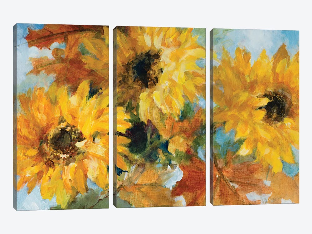 Breezy Sunflowers by Lanie Loreth 3-piece Canvas Art