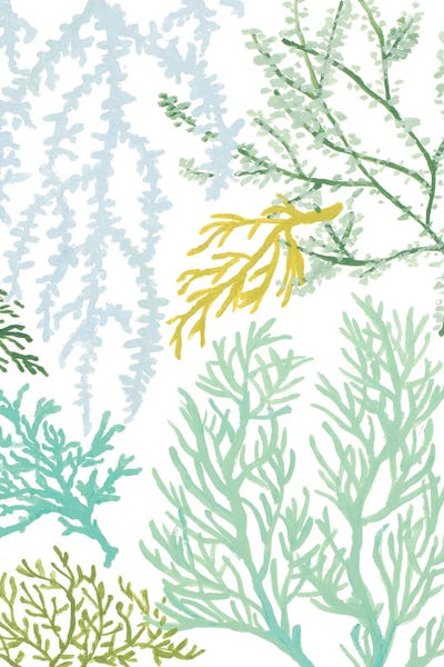 Coral: Budding Vertical Coral I by Lanie Loreth