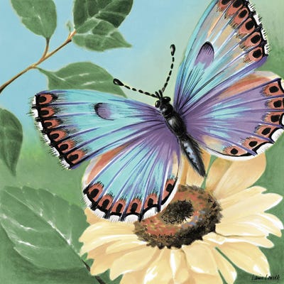 Butterfly Flowers II by Lanie Loreth canvas print