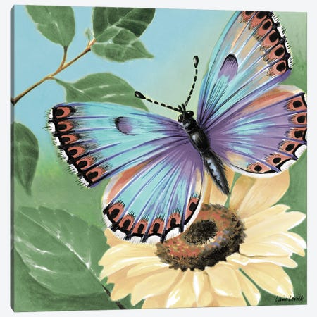 Butterfly Flowers II Canvas Print #LNL604} by Lanie Loreth Canvas Art