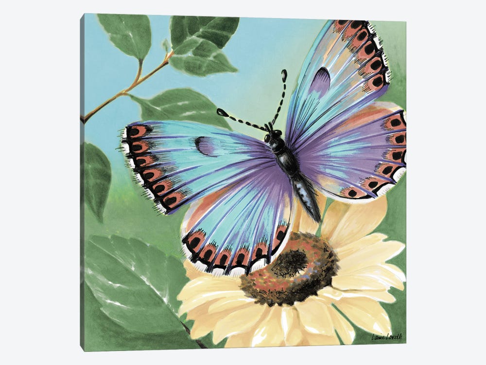 Butterfly Flowers II by Lanie Loreth 1-piece Canvas Art